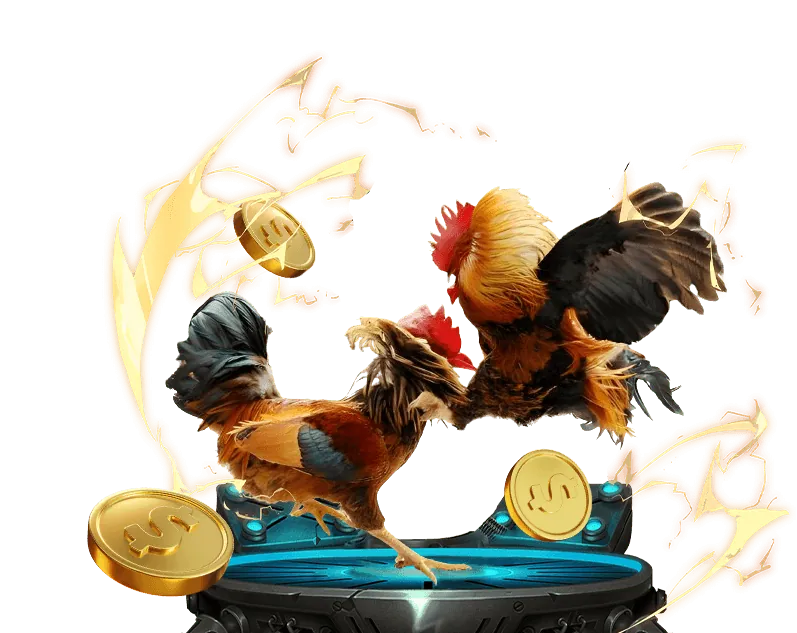 Giới thiệu thương hiệu Win2026